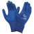 C0108009699100, Ansell 11-818 HyFlex